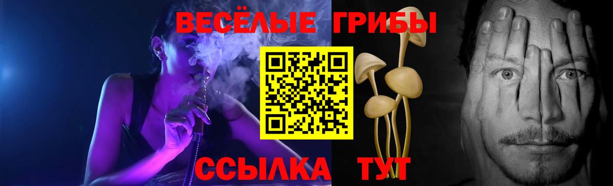 Галлюциногенные грибы ЛСД Новый Уренгой